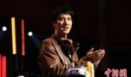 凤凰爆料王力宏视频全集,凤凰爆料背后的真相与情感纠葛